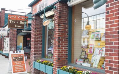 Featured Member: Little Village Toys and Books