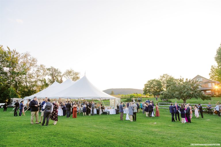 353679670 990069108955279 841956250395527462 n 768x512