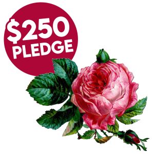 $250 Flower Pledge