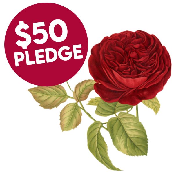 $50 Flower Pledge