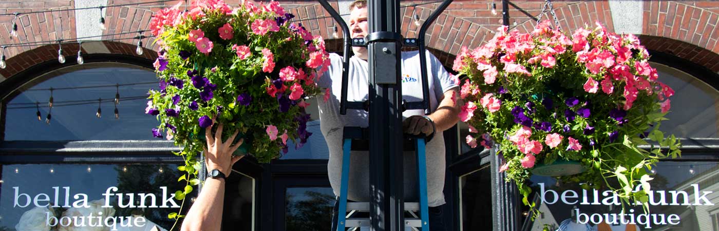 Flower Baskets 