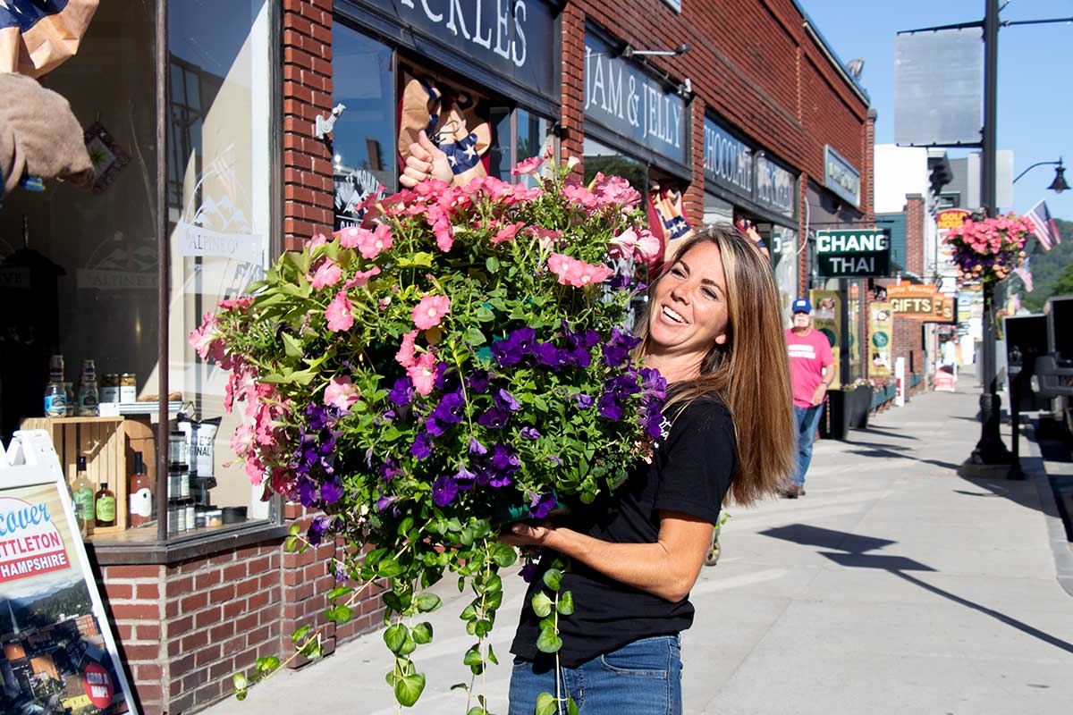 LIttleton Area Chamber of Commerce downtown beautificaiton project - hanging flower baskets