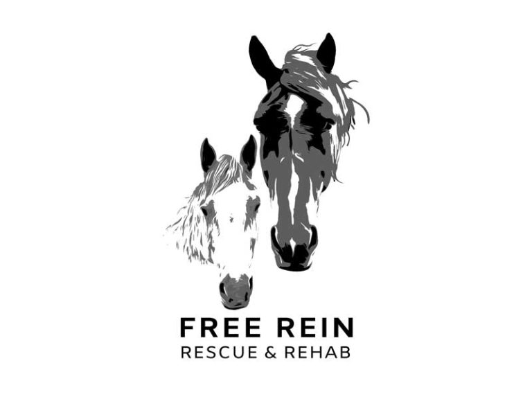 member free rein rescue 768x576