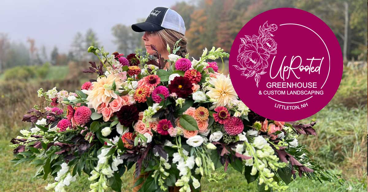 uprooted-greenhouse UpRooted Greenhouse Custom Landscaping