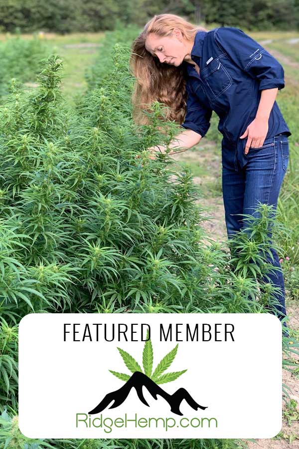 featured member Ridge Hemp
