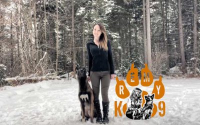 Featured Member: Leash Logic