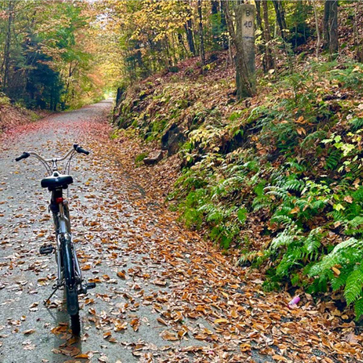 ammonoosuc-rail-trail Ammonosuc Rail Trail in Littleton NH