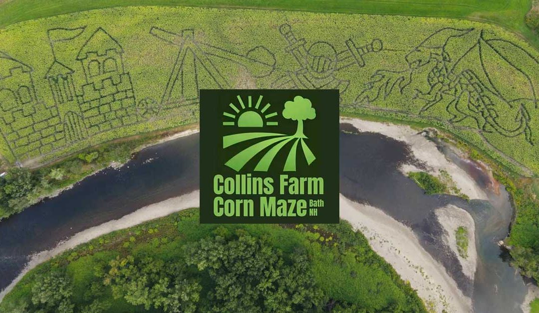 Collins Farm Corn Maze