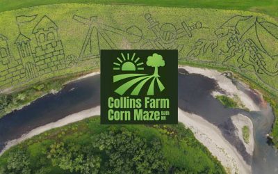 Featured Member: Collins Farm Corn Maze