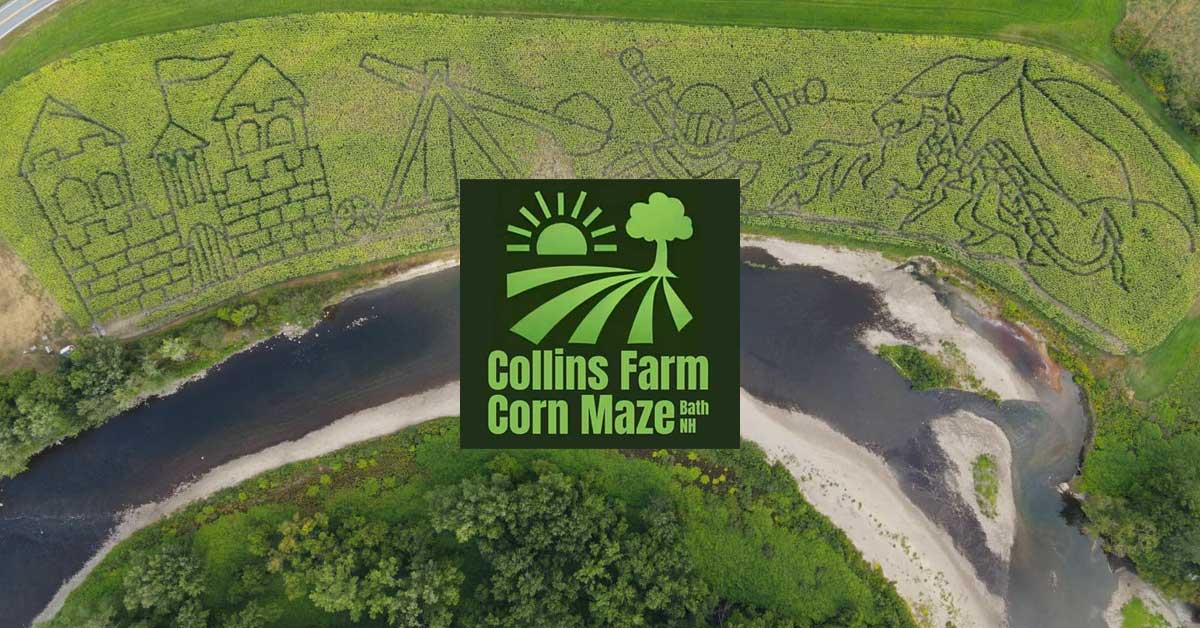Collins Farm Corn Maze
