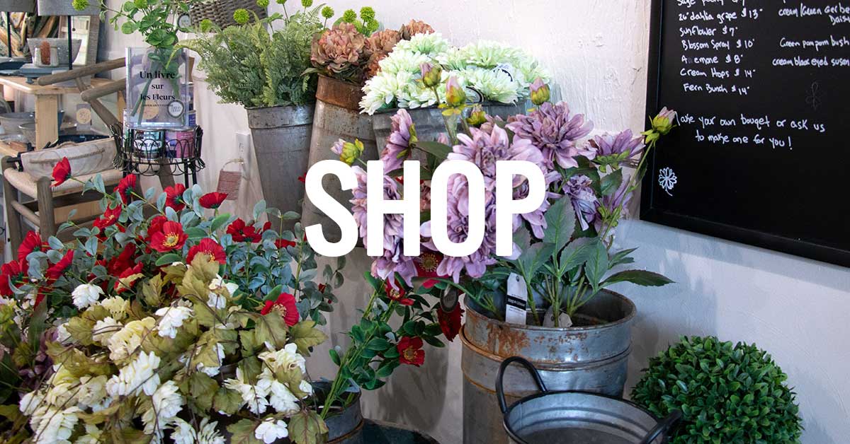 featured-shop Shop - White Mountains NH Retail