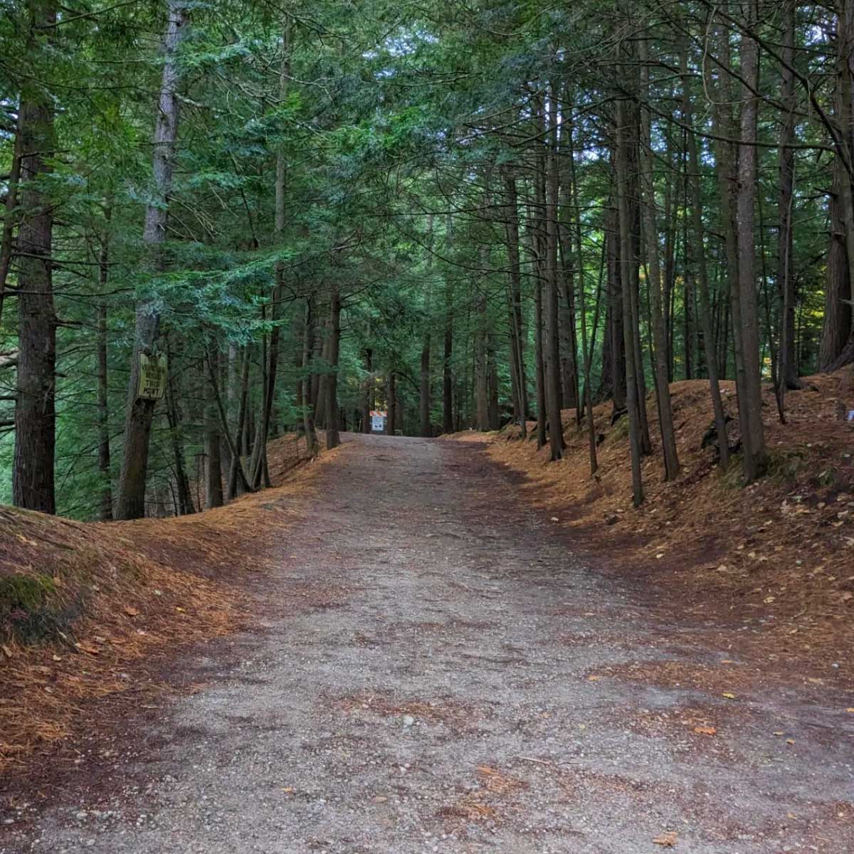 littleton-dells Dells Conservation Area in Littleton, NH