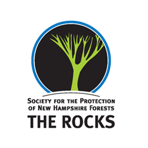 Rocks Logo 1