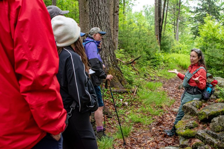 KateWilcox SPNHF 06 07 25 Rocks wildflowers 0188 resized 768x512