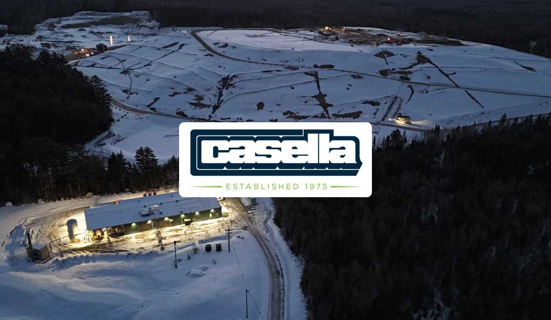 Featured Member: Casella