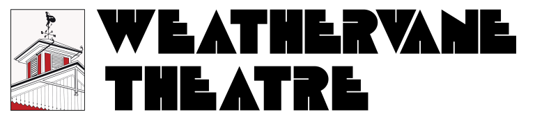 WT Logo Suite 2023 Primary 02 1 768x172
