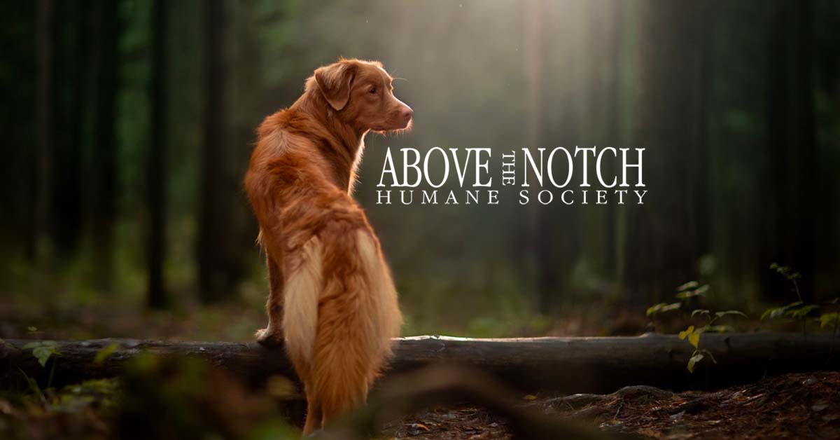 Above the Notch Humane Society