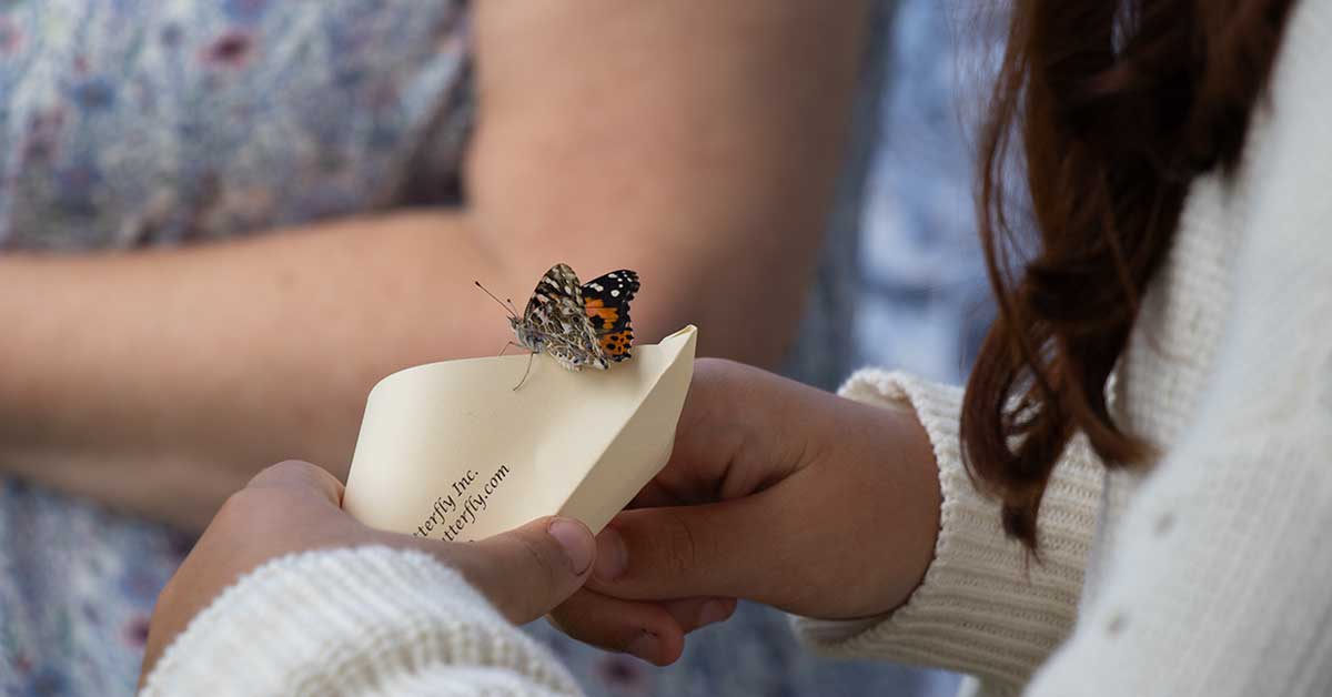 Hospice Butterfly Release