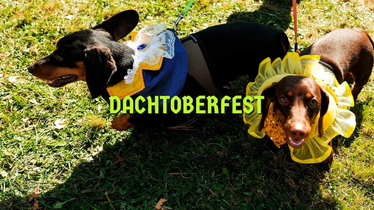 Dachtoberfest, Littleton NH
