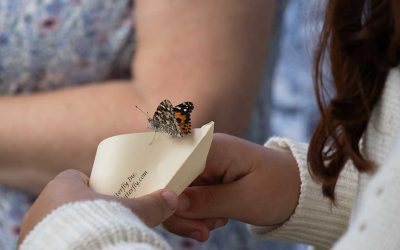 NCHHHA Announces 2026 Butterfly Releases 